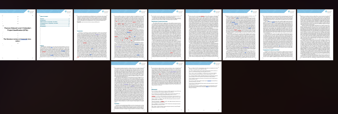 Sample EPQ project pages — dense text, minimal empirical work